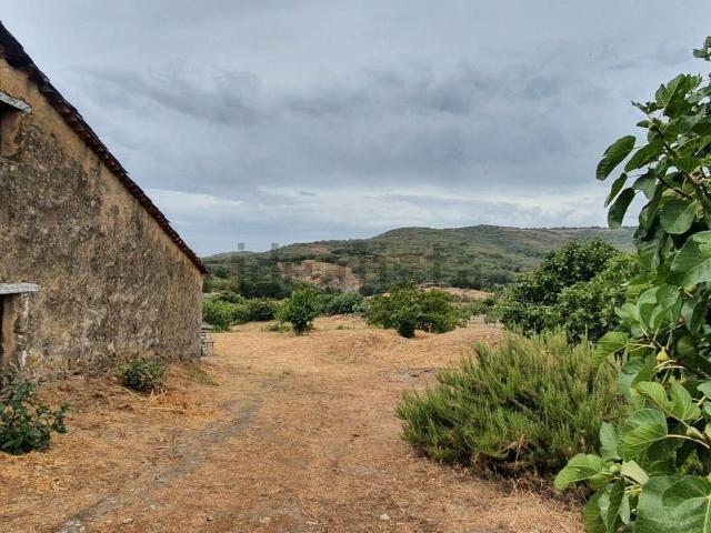 Terreno, Jarandilla de la Vera