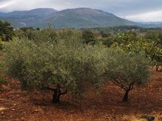 Terreno, Jarandilla de la Vera
