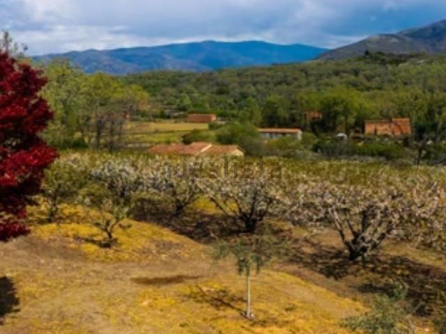 Terreno, Jarandilla de la Vera