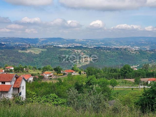 Terreno, Jazente