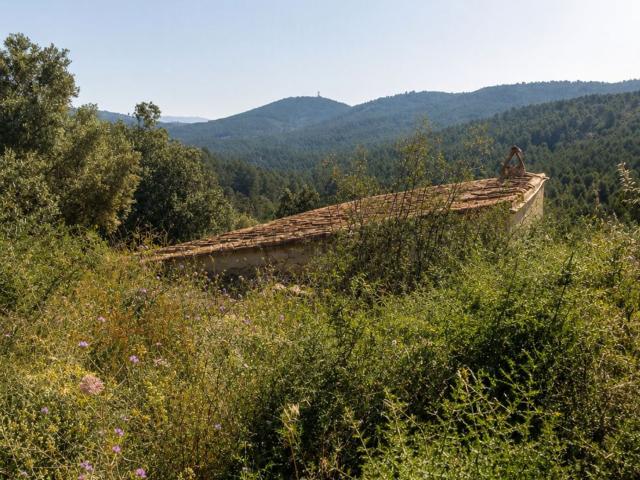 Terreno, Jérica