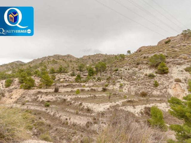 Terreno, Jijona / Xixona