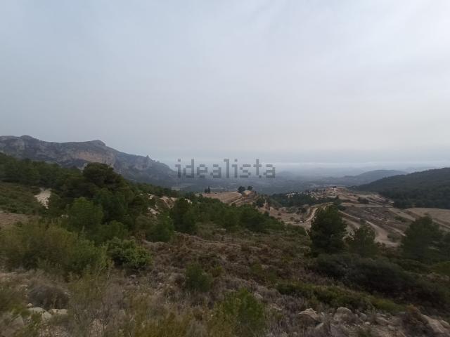 Terreno, Jijona / Xixona