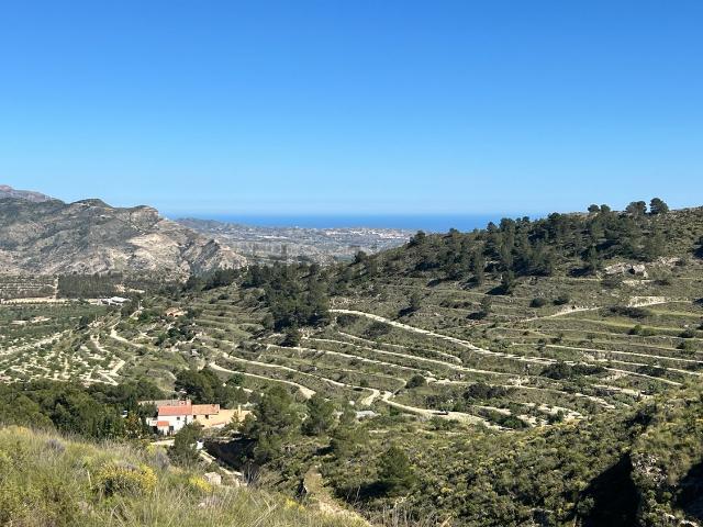 Terreno, Jijona / Xixona