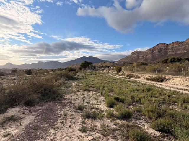 Terreno, Jijona / Xixona