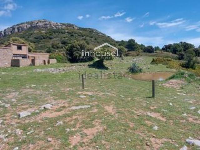 Terreno, Lucena del Cid