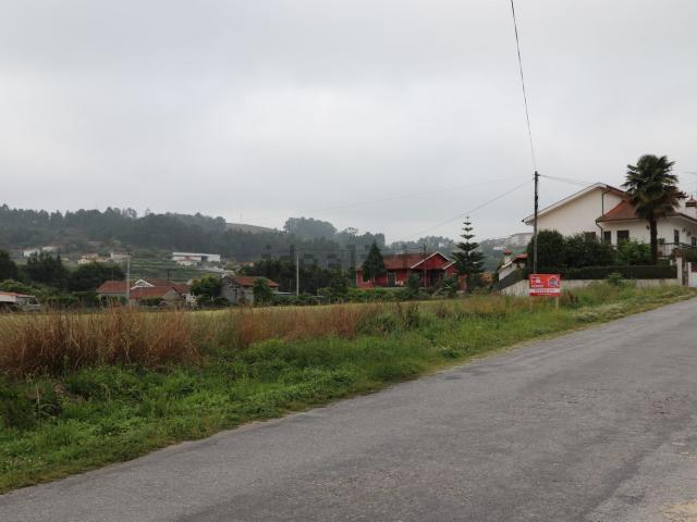 Terreno, Lustosa