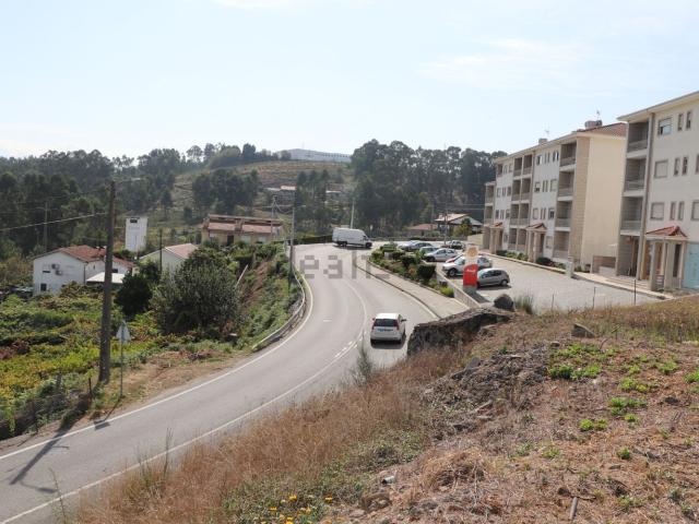 Terreno, Lustosa