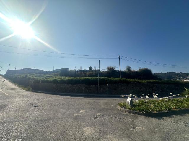 Terreno, Lustosa