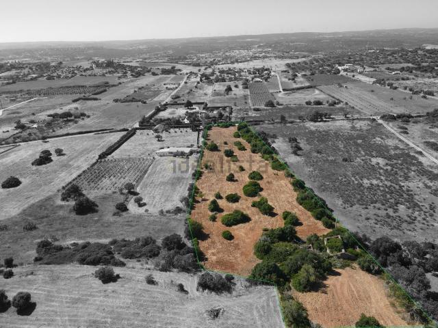 Terreno, Luz