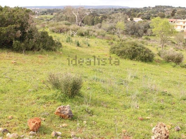Terreno, Luz