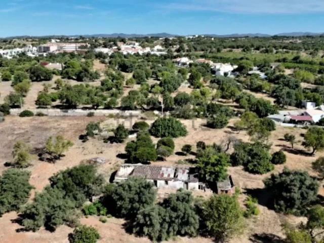 Terreno, Luz de Tavira