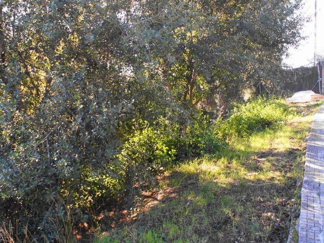 Terreno, L&apos Ametlla del Vallès