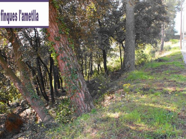 Terreno, L&apos Ametlla del Vallès