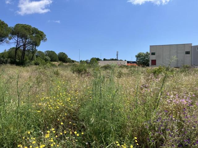 Terreno, L&apos Escala