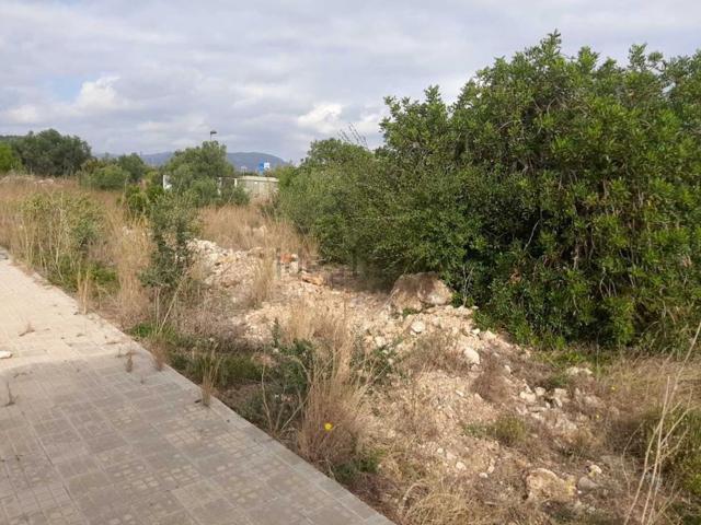 Terreno, L&apos Hospitalet de l&apos Infant