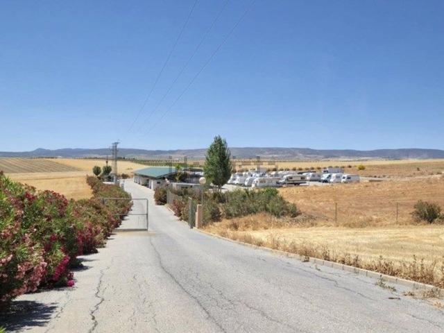Terreno, La Malaha