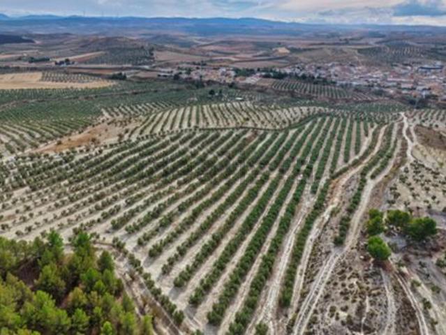 Terreno, La Malaha