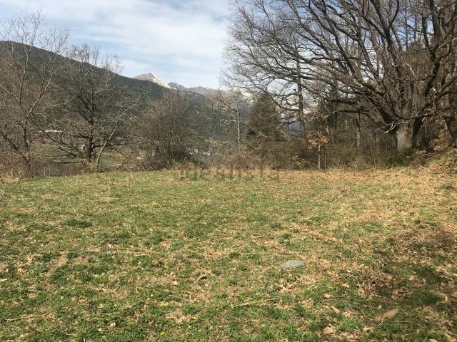 Terreno, La Massana