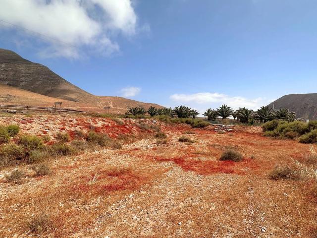 Terreno, La Oliva