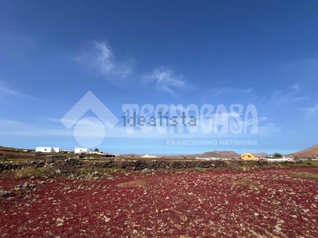 Terreno, La Oliva