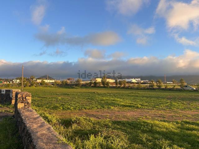 Terreno, La Oliva