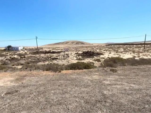 Terreno, La Oliva