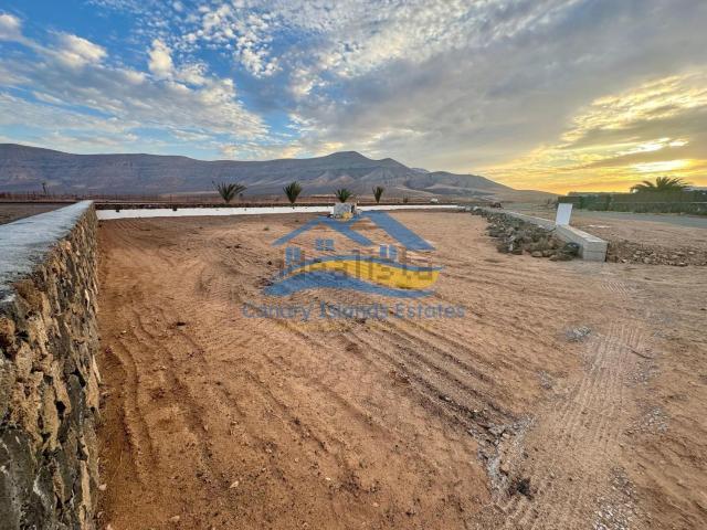 Terreno, La Oliva