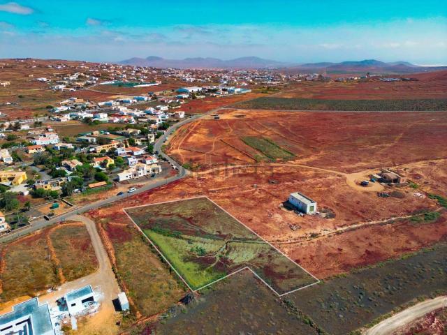 Terreno, La Oliva