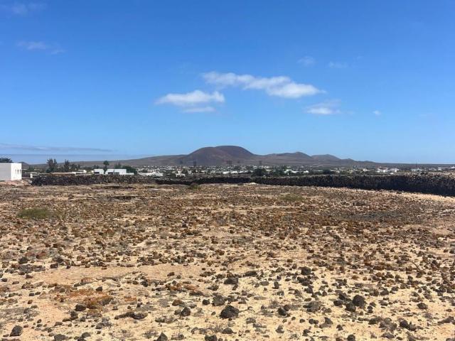 Terreno, La Oliva