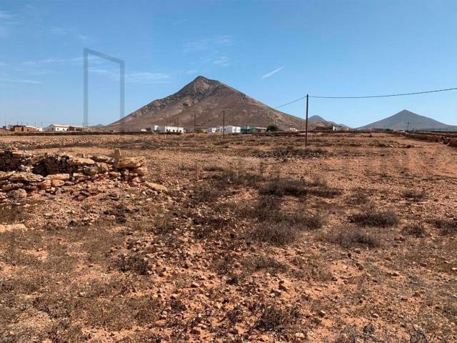 Terreno, La Oliva