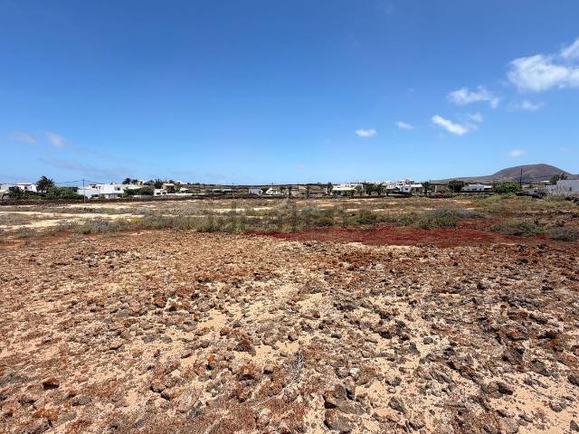 Terreno, La Oliva