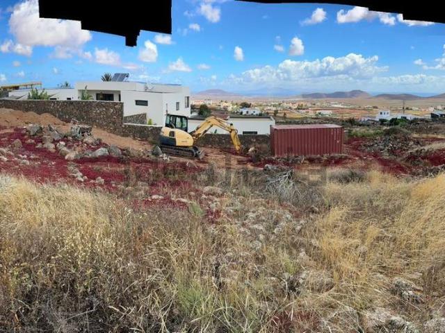 Terreno, La Oliva