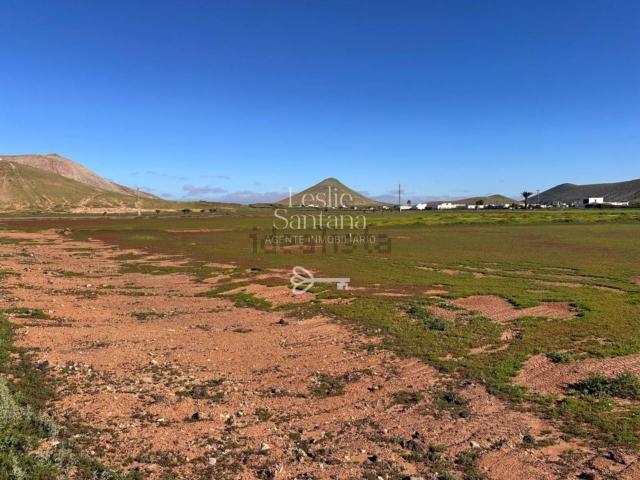 Terreno, La Oliva