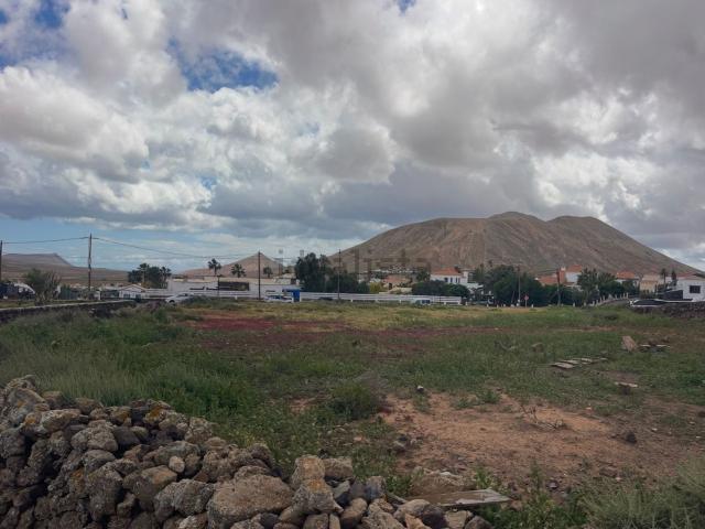 Terreno, La Oliva