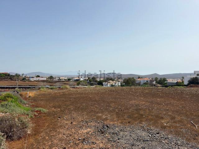 Terreno, La Oliva