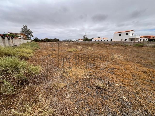 Terreno, La Oliva