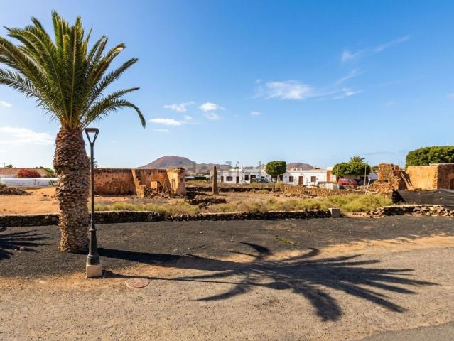 Terreno, La Oliva