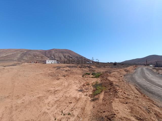 Terreno, La Oliva
