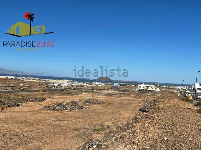 Terreno, La Oliva