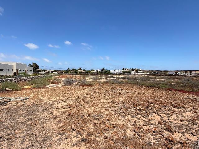 Terreno, La Oliva