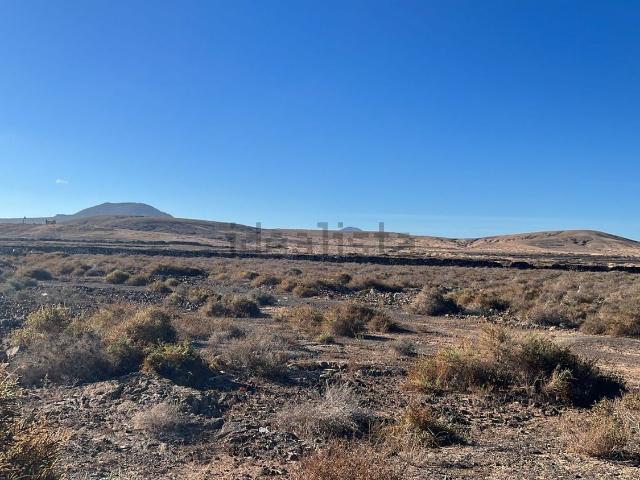 Terreno, La Oliva