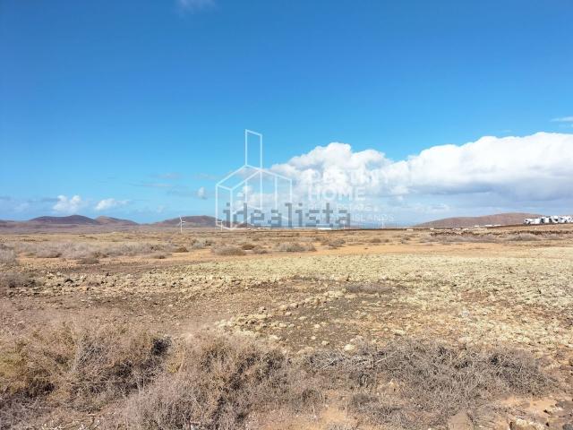 Terreno, La Oliva