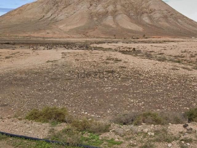 Terreno, La Oliva