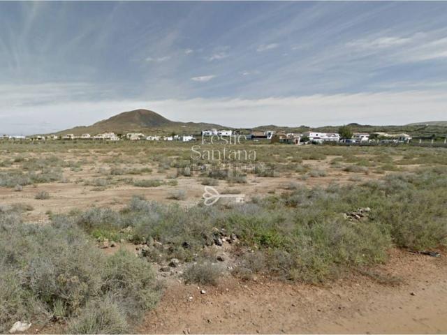 Terreno, La Oliva