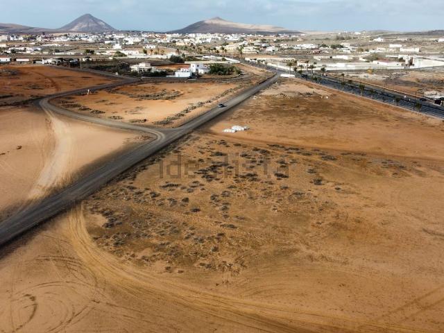 Terreno, La Oliva