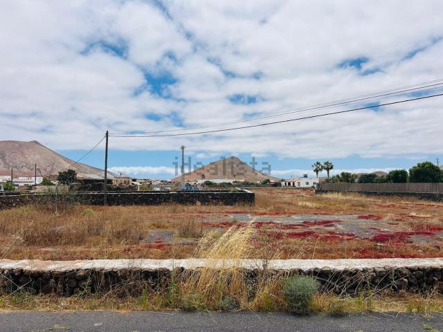 Terreno, La Oliva