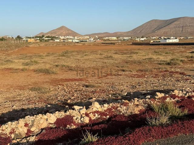 Terreno, La Oliva
