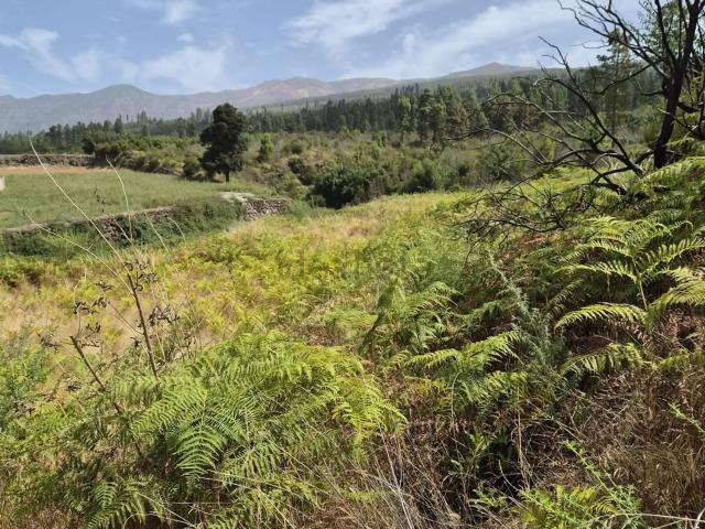 Terreno, La Orotava
