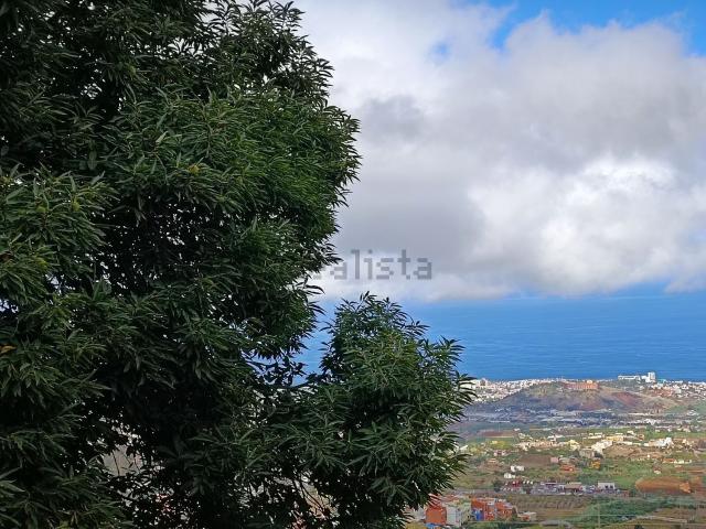 Terreno, La Orotava